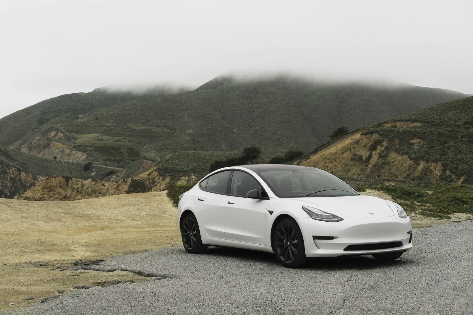 Konec náhradních aut: Tesla vás pošle na servis Robotaxi